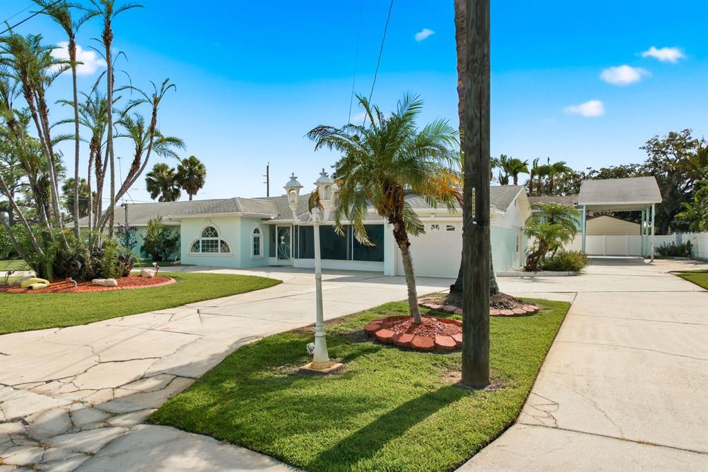 A light green single-story house with a large driveway, palm trees, and a carport — 6309 WERNER AVENUE, NEW PORT RICHEY, FL