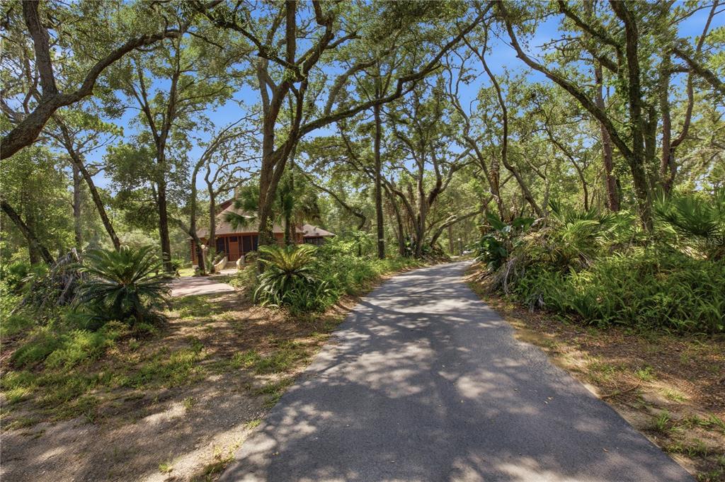 A paved driveway leads through a wooded area toward a house with a screened porch — 6850 ROUND LAKE ROAD, MOUNT DORA, FL