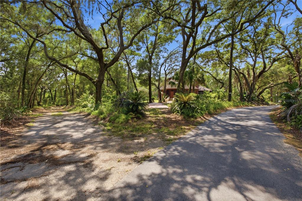 A paved driveway forks toward a house nestled among many large, mature oak trees — 6850 ROUND LAKE ROAD, MOUNT DORA, FL