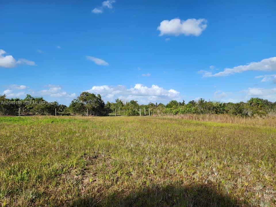 A flat, grassy field is bordered by a wire fence and dense trees under a sky — 18717 NW 258 st, Okeechobee FL 34972, OKEECHOBEE, FL