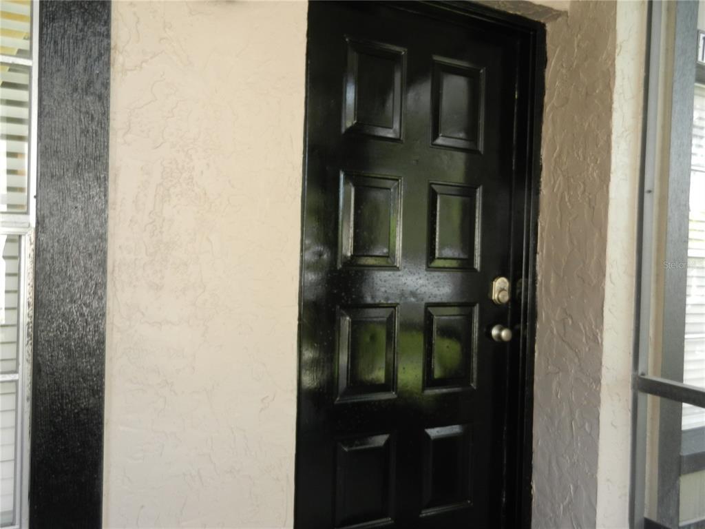 A black six-panel front door is set into a textured beige exterior wall — 4013 DREAM OAK PL UNIT 103, TAMPA, FL