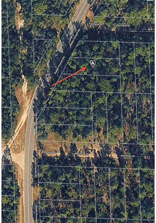 This is an aerial map view showing a wooded residential lot along a paved road — 608 BADEN POWELL ROAD, HAWTHORNE, FL