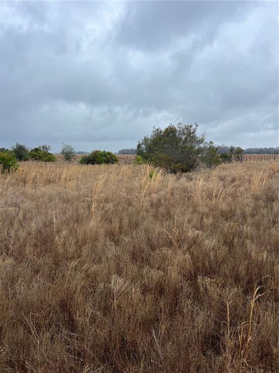 A view of a flat, grassy field with scattered shrubs under a cloudy sky — 1137 HOPKINS LANE, ZOLFO SPRINGS, FL