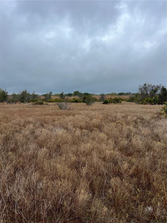 A flat, grassy field under a cloudy sky with scattered shrubs and trees in the distance — 1137 HOPKINS LANE, ZOLFO SPRINGS, FL