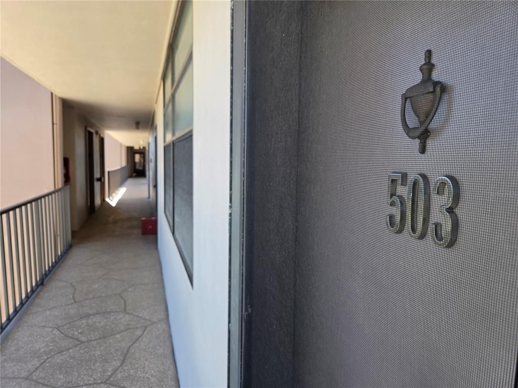 A view of an outdoor apartment hallway with a door labeled 503 — 7700 SUN ISLAND DRIVE S UNIT 503, SOUTH PASADENA, FL
