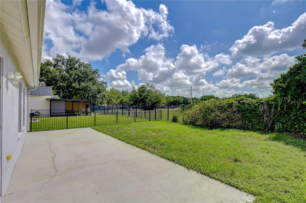 A concrete patio overlooks a fenced backyard with green grass and trees under a cloudy sky — 6010 SKYLARKCREST DRIVE, LITHIA, FL