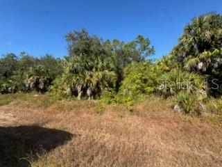 A view of a vacant, grassy lot with dense trees and palm bushes under a sky — LOT 4 MATTOX CIRCLE, NORTH PORT, FL