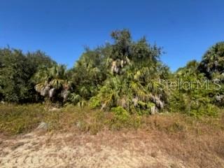 A vacant, wooded lot features sandy ground and dense clusters of palm trees and shrubs — LOT 4 MATTOX CIRCLE, NORTH PORT, FL