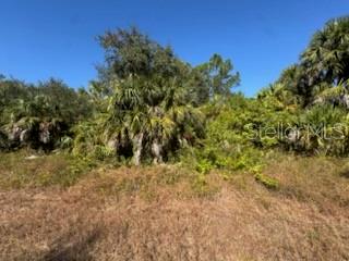 A vacant, overgrown lot features dense vegetation, palm trees, and dry grass under a clear sky — LOT 4 MATTOX CIRCLE, NORTH PORT, FL