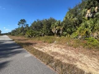 A paved road runs alongside a vacant, wooded lot with sandy ground and palm trees — LOT 4 MATTOX CIRCLE, NORTH PORT, FL