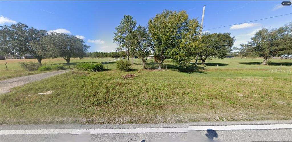 A grassy, undeveloped lot features several mature trees and a dirt driveway under a blue sky — OLD GRADE ROAD, POLK CITY, FL