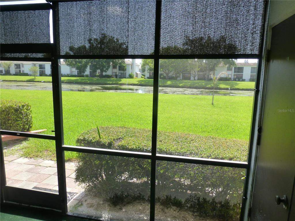 A view of a grassy lawn and a pond through a screened-in patio door — 119 LAKESIDE DRIVE UNIT 119, OLDSMAR, FL