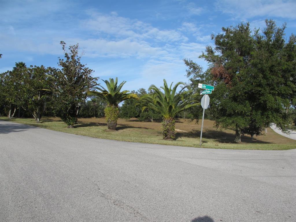 A paved street corner features a street sign, two palm trees, and surrounding mature trees — 17200 ROYAL PALM DRIVE, GROVELAND, FL