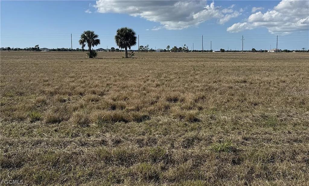A vast, flat, grassy field under a blue sky with two palm trees — 14033 TORPEDO-RAY PLACE, PLACIDA, FL