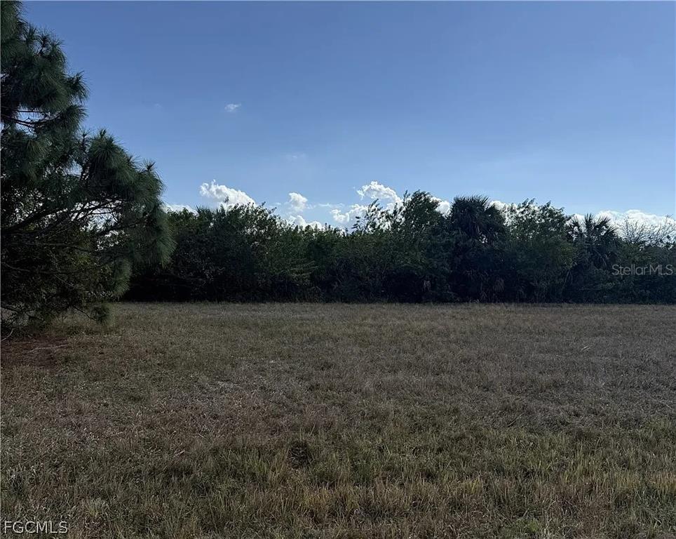 A grassy, undeveloped lot is bordered by a dense line of trees and shrubs — 14033 TORPEDO-RAY PLACE, PLACIDA, FL