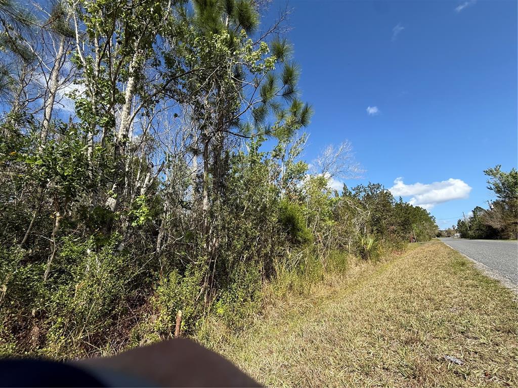 JUPITER DRIVE, ST CLOUD, FL — photo 3 of 5