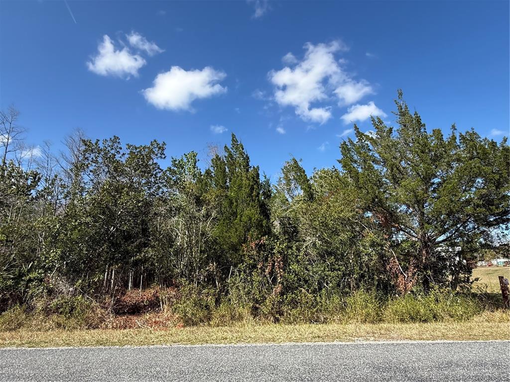 JUPITER DRIVE, ST CLOUD, FL — photo 4 of 5