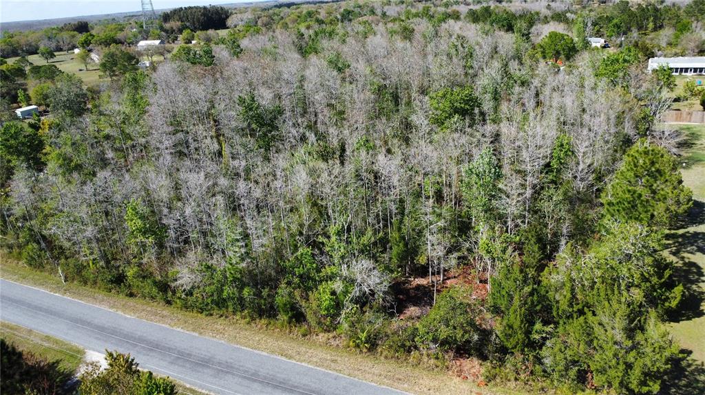 JUPITER DRIVE, ST CLOUD, FL — photo 5 of 5