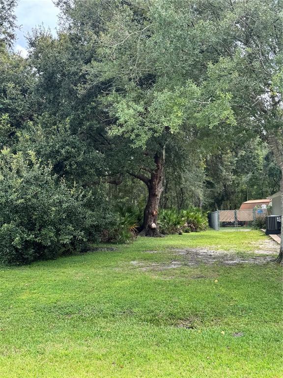 A grassy backyard features a large mature tree and a fenced area in the distance — 0 TIFFANY COURT, KISSIMMEE, FL