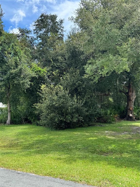 A grassy lot features a dense cluster of trees and shrubs under a blue sky — 0 TIFFANY COURT, KISSIMMEE, FL