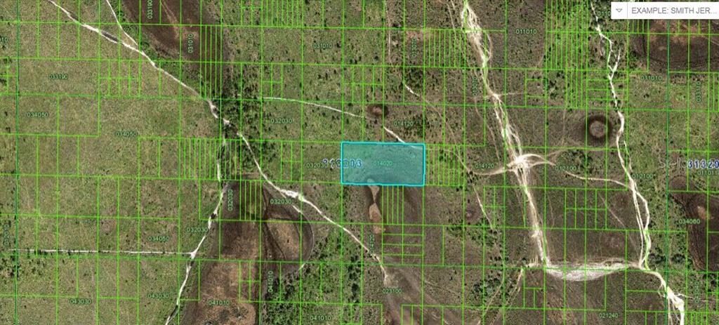 This is a satellite map view showing a highlighted rectangular parcel of undeveloped land — RIVER RANCH BOULEVARD, LAKE WALES, FL