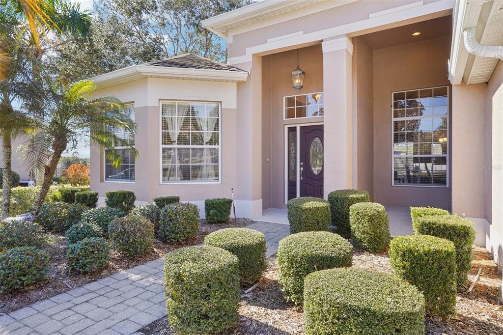 6114 TREMAYNE DRIVE, MOUNT DORA, FL — photo 3 of 30
