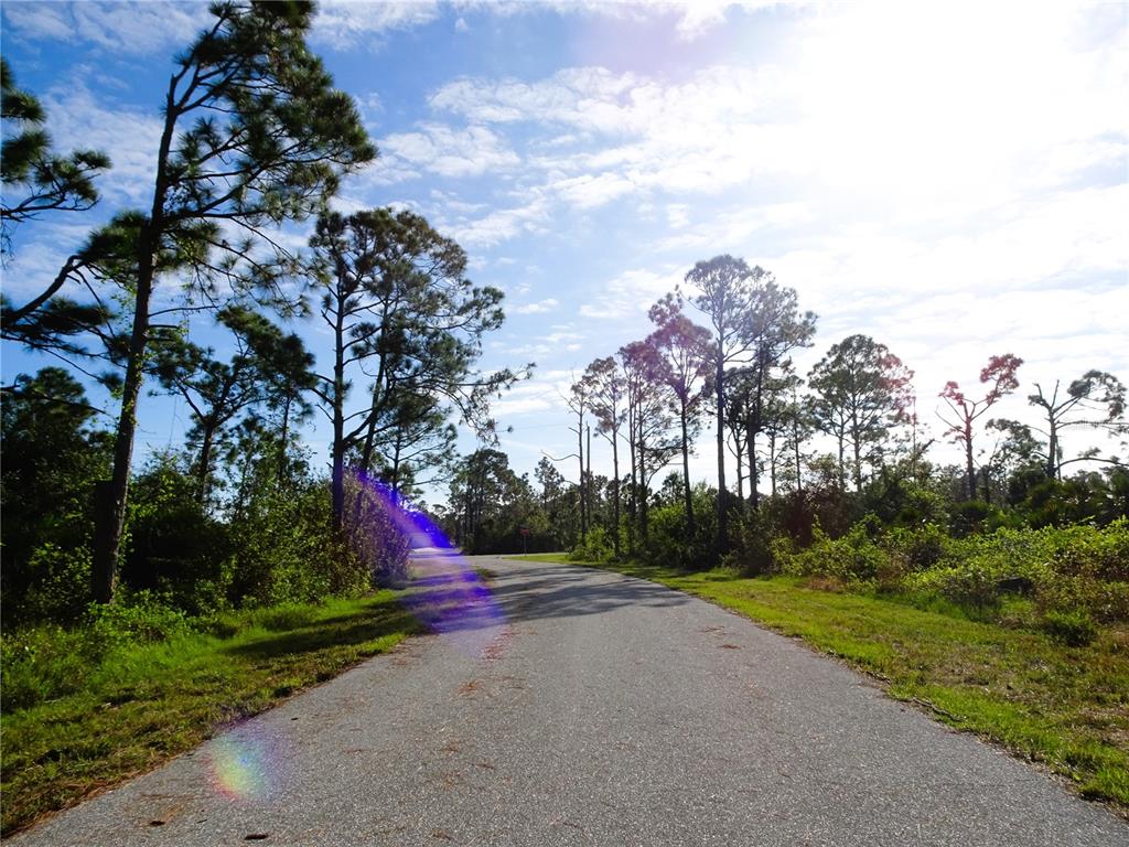 A paved road winds through a sunny, wooded area with tall pine trees and green vegetation — 12242 WAGNER LANE, PORT CHARLOTTE, FL
