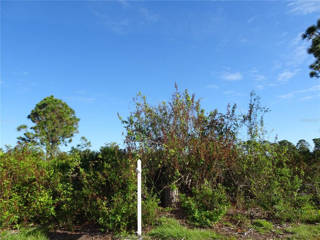 A vacant, overgrown lot features a white sign post and a tree stump — 12242 WAGNER LANE, PORT CHARLOTTE, FL