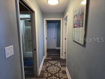 A hallway with light blue walls, wood-look flooring, and a runner rug leads to two doorways — 4363 TAHITIAN GARDENS CIRCLE UNIT G, HOLIDAY, FL