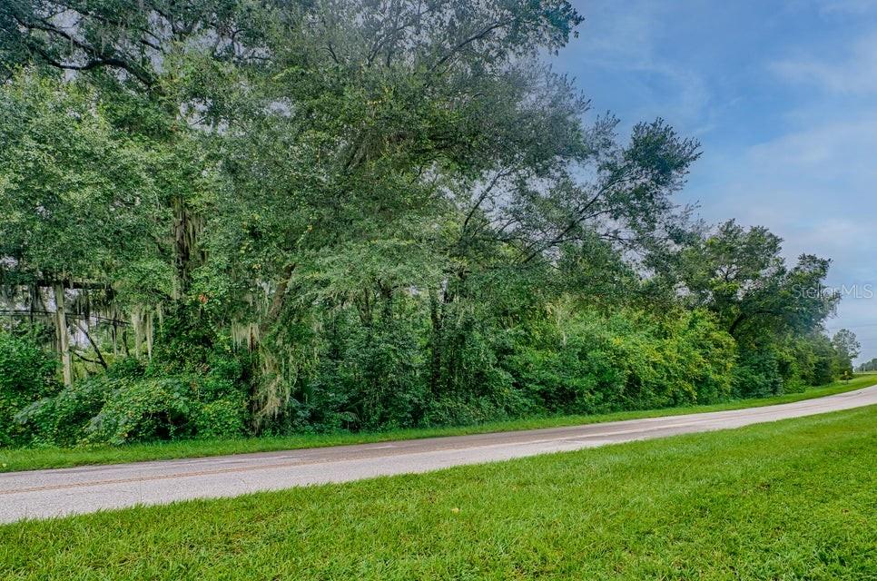 SE 9TH AVENUE, STARKE, FL — photo 3 of 21