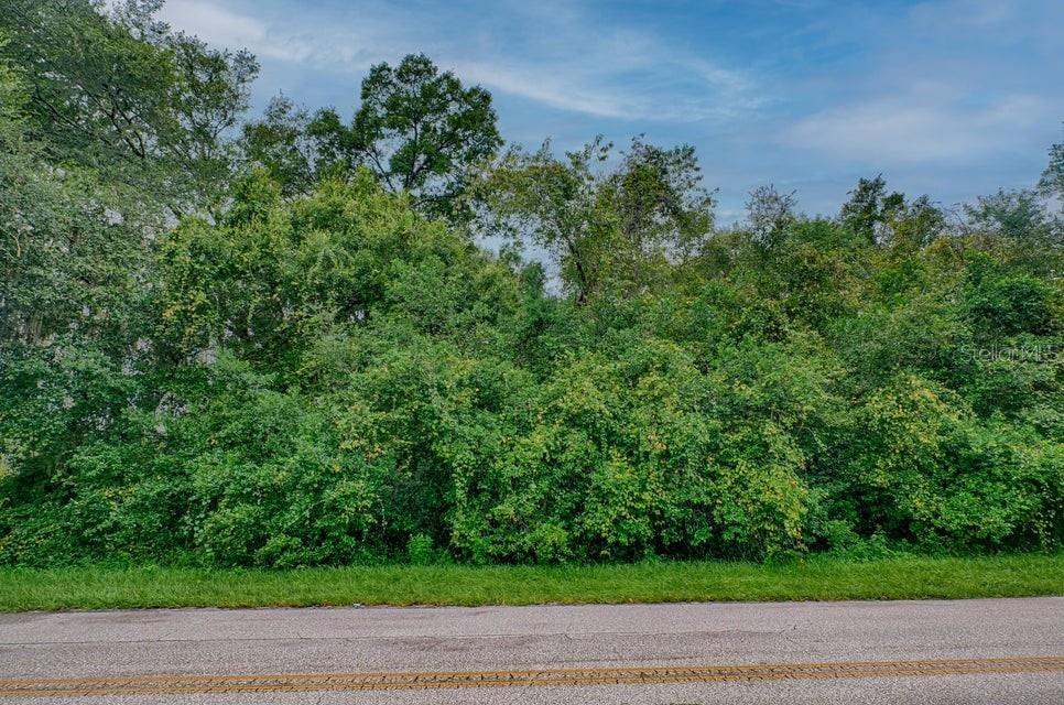 SE 9TH AVENUE, STARKE, FL — photo 4 of 21