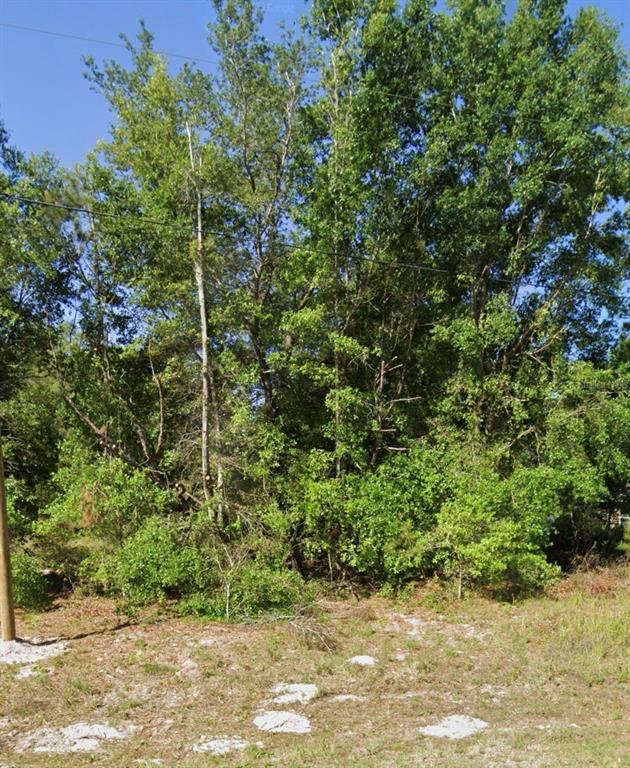 A view of a wooded lot with dense green trees and a utility line overhead — FISHER ROAD, OCKLAWAHA, FL