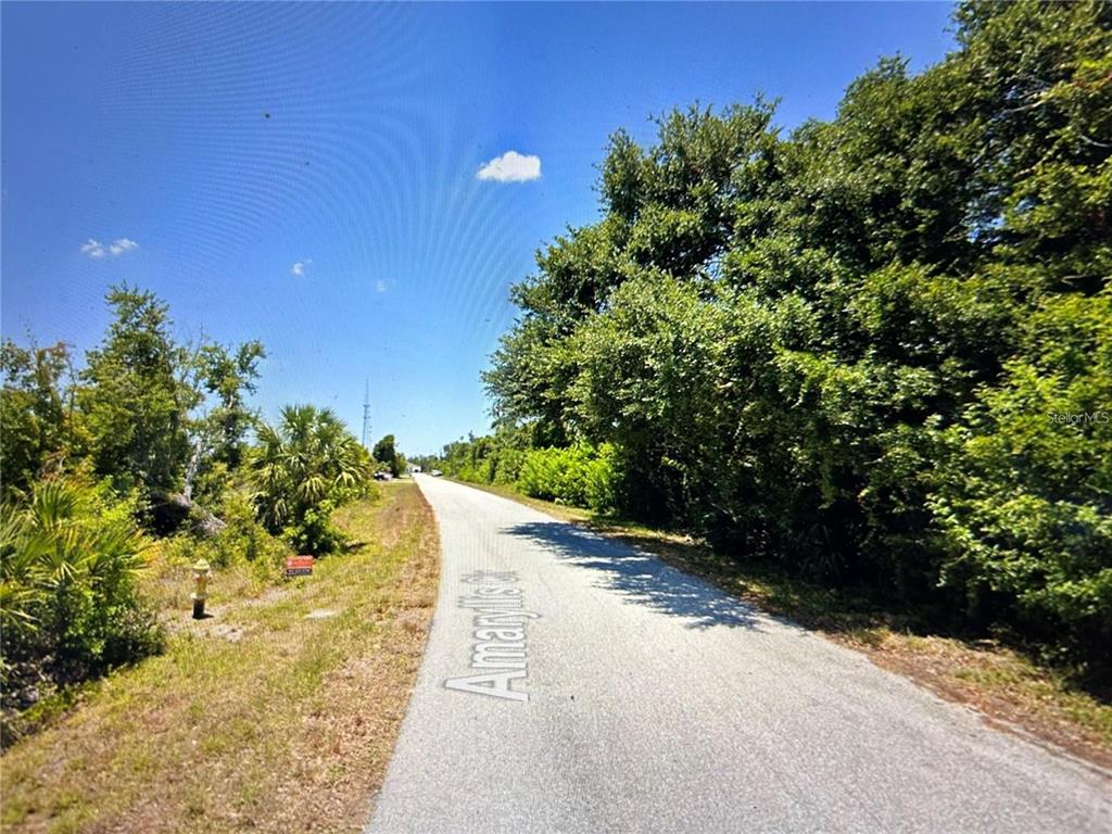 A paved road stretches into the distance, bordered by dense green trees and vegetation — 13357 AMARYLLIS CIR, PORT CHARLOTTE, FL