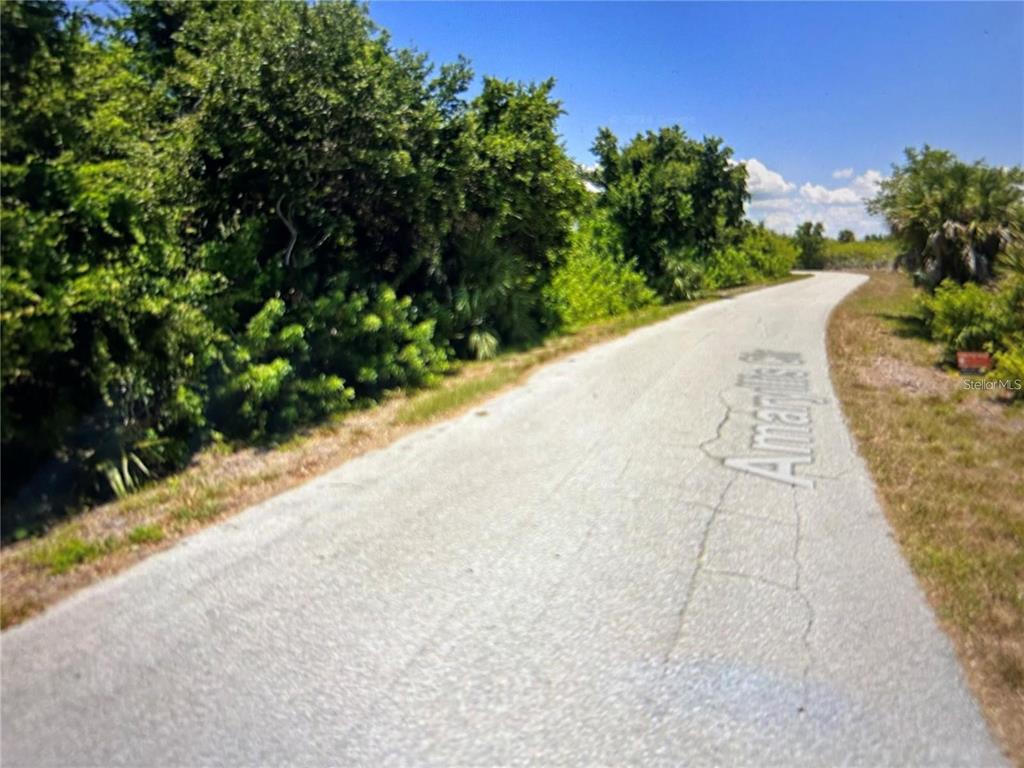 A paved road winds through a rural area with dense green trees and vegetation — 13357 AMARYLLIS CIR, PORT CHARLOTTE, FL