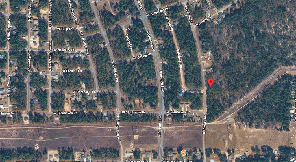 This is an aerial map view showing a vacant wooded lot marked with a red pin — 6977 N FOXDALE DRIVE, CITRUS SPRINGS, FL
