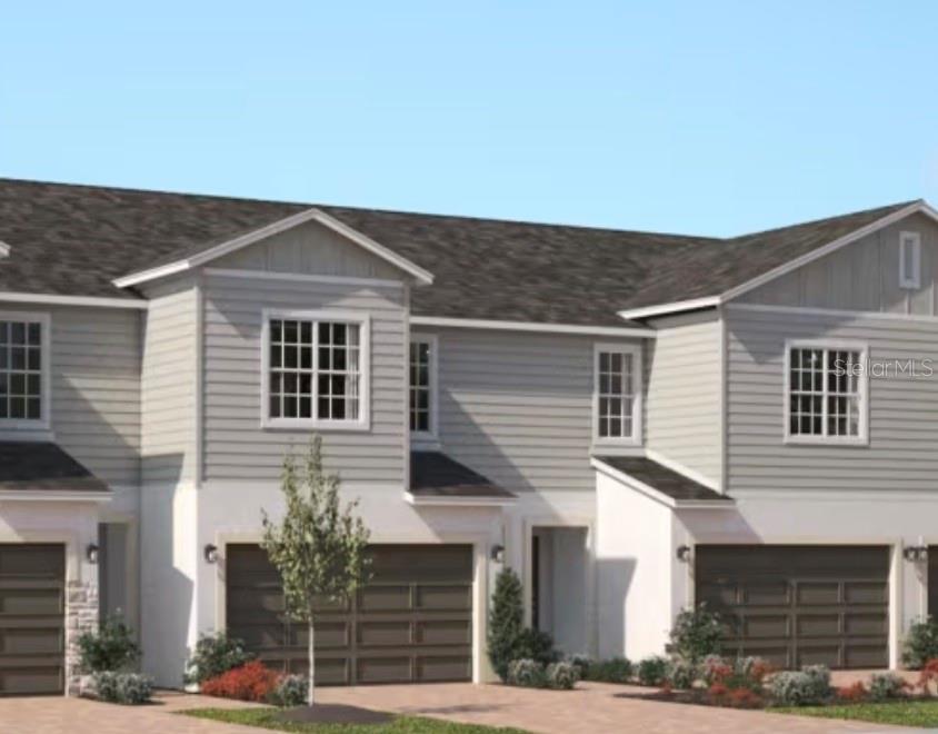 2564 STARRY POINT