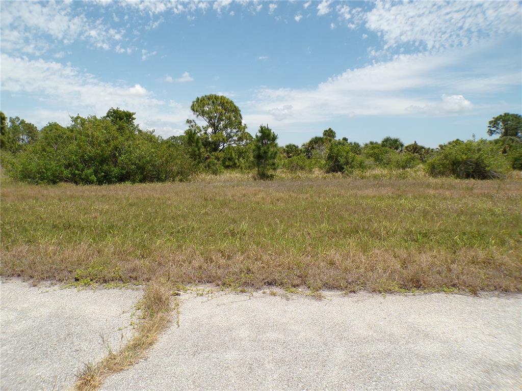 A view of a vacant, grassy lot bordered by trees and shrubs under a blue sky — 13222 PORGY WAY, PLACIDA, FL