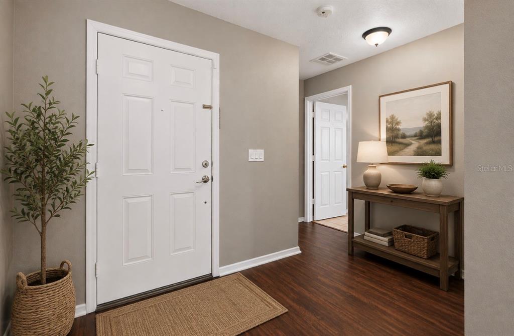 An entryway features a white door, wood-look flooring, a console table, and a potted plant — 11154 RUNNING PINE DRIVE DRIVE, RIVERVIEW, FL