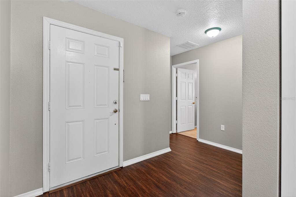 An entryway with a white front door, gray walls, and dark wood-look flooring — 11154 RUNNING PINE DRIVE DRIVE, RIVERVIEW, FL