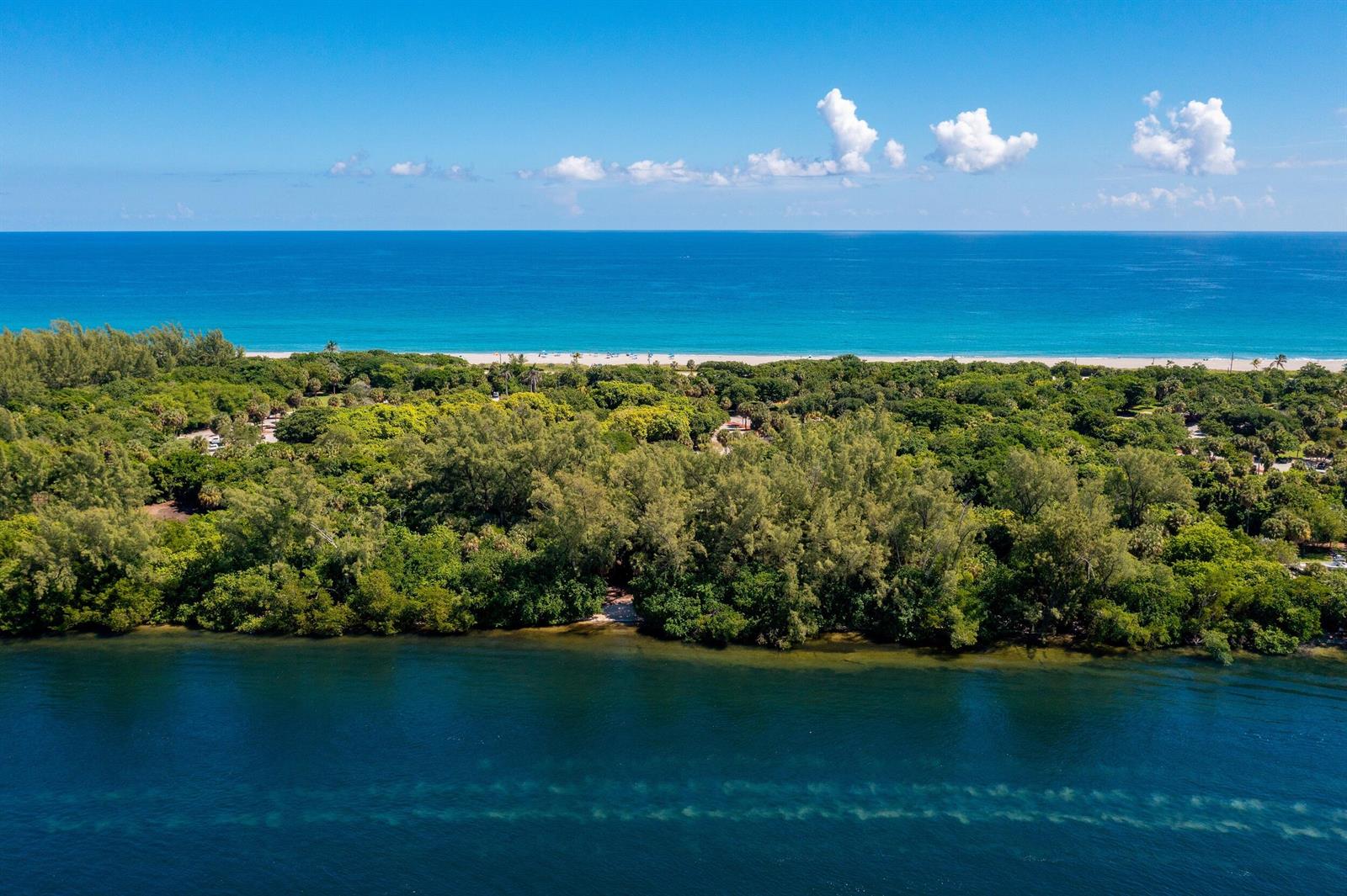 An aerial view shows a dense forest separating a calm inland waterway from the ocean — 3363 NE 6th Drive, Boca Raton FL 33431, BOCA RATON, FL