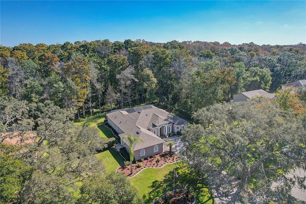 An aerial view shows a single-story house with a shingled roof surrounded by dense trees — 12054 QUAIL RIDGE DRIVE, SPRING HILL, FL