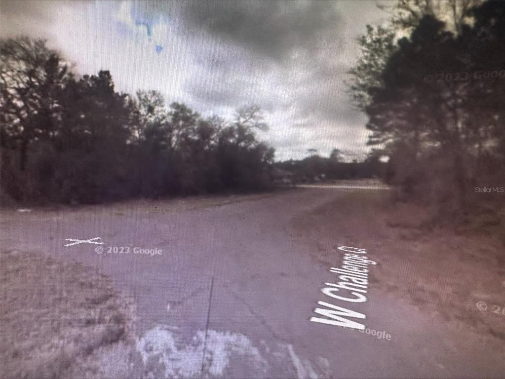 A paved road curves through a wooded area under a cloudy sky — 2981 W CHALLENGE COURT, CITRUS SPRINGS, FL