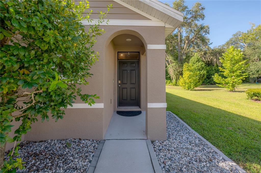 9031 WATER CHESTNUT DRIVE, TEMPLE TERRACE, FL — photo 4 of 30