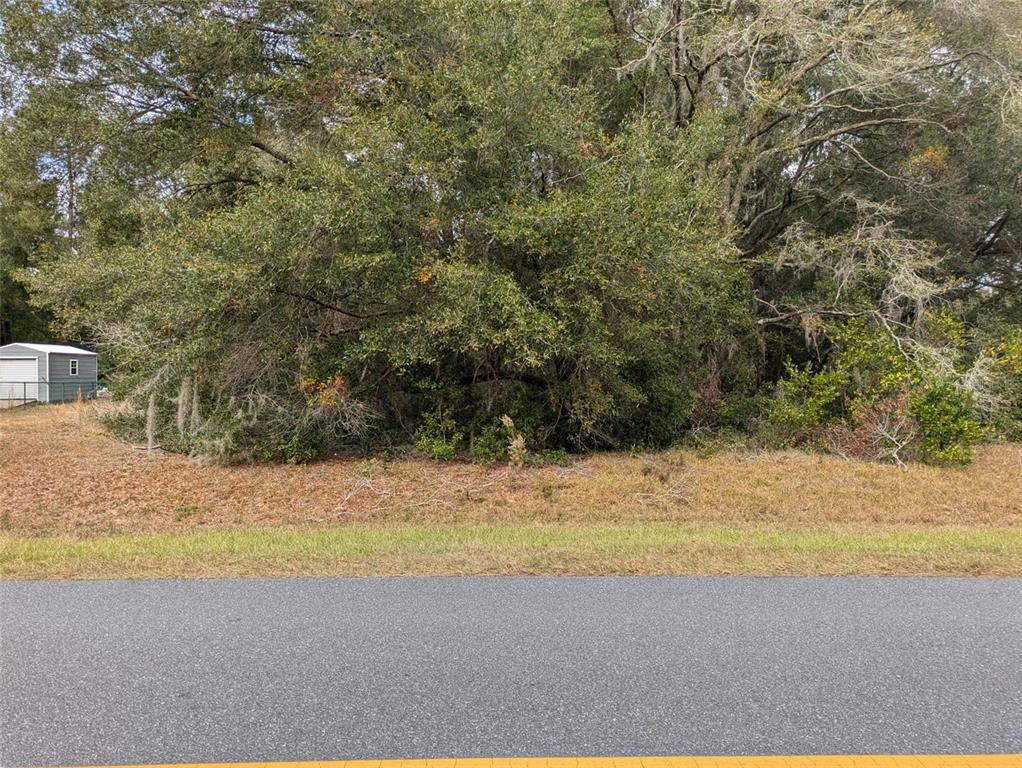 A paved road runs in front of a wooded lot with a small shed nearby — 000 SW BEACH BOULEVARD, DUNNELLON, FL