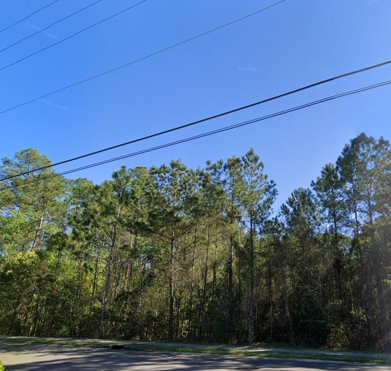 A view of a wooded lot from a paved street under a clear blue sky — 3678 ROBENA ROAD, JACKSONVILLE, FL