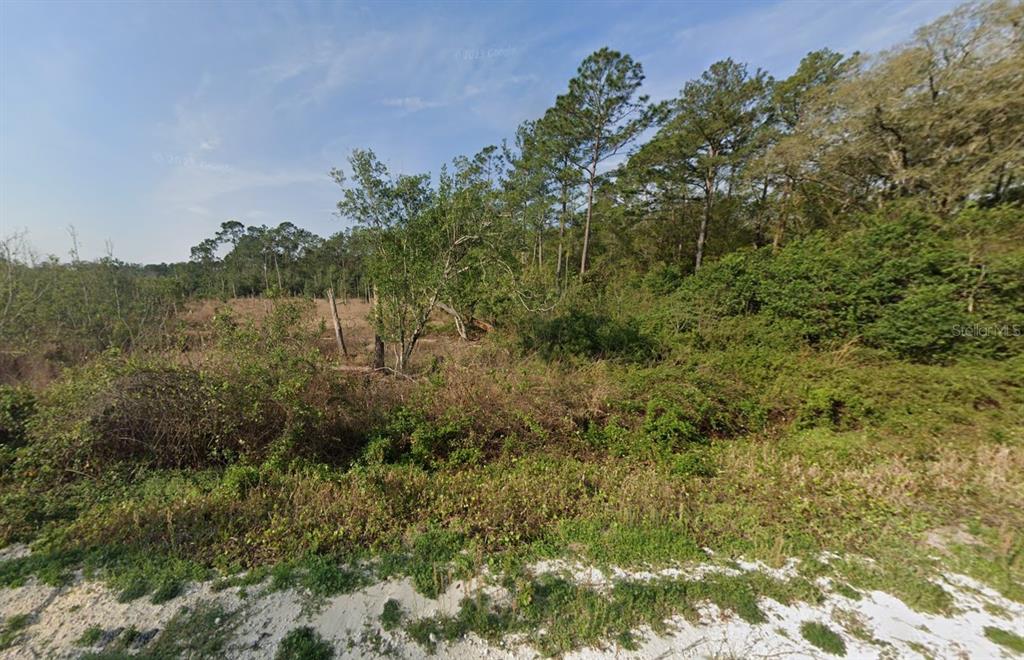 A vacant, overgrown lot features scattered trees and dense brush under a blue sky — 129 FISHERMANS DRIVE, INTERLACHEN, FL