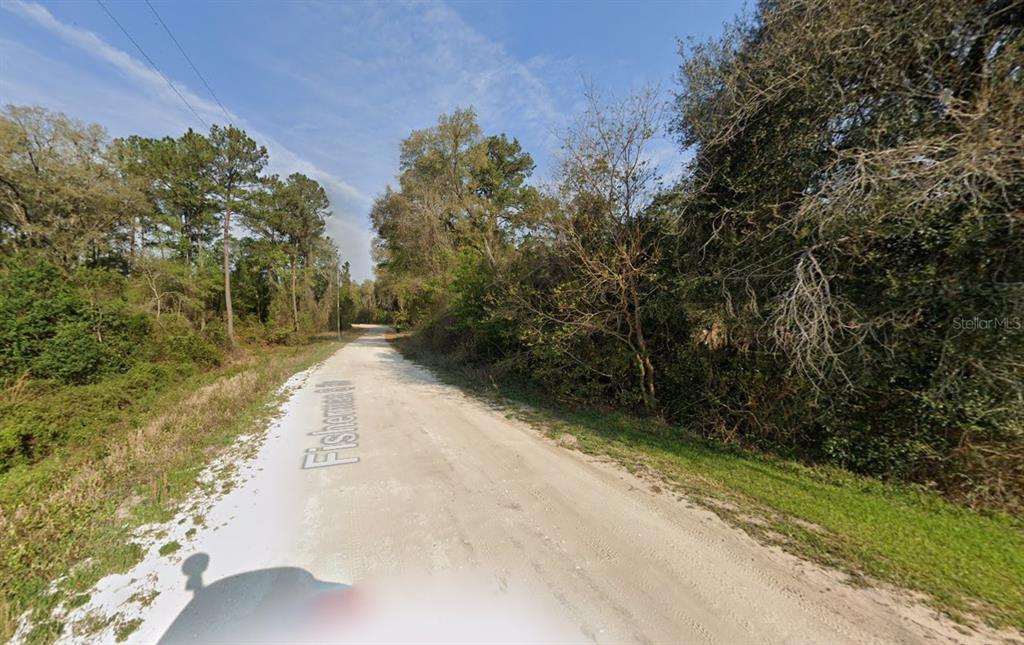 A dirt road winds through a wooded area under a blue sky — 129 FISHERMANS DRIVE, INTERLACHEN, FL