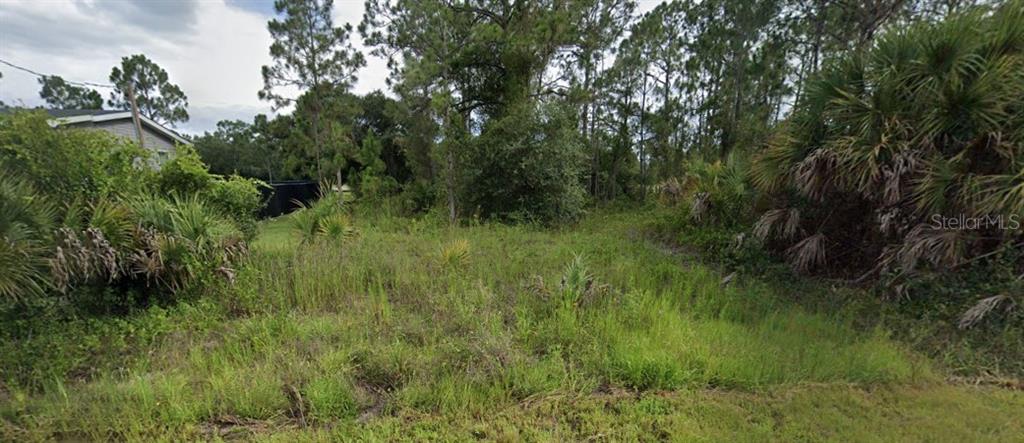 A vacant, overgrown residential lot with tall grass, scattered shrubs, and mature pine trees — RENTSCHER AVENUE, NORTH PORT, FL