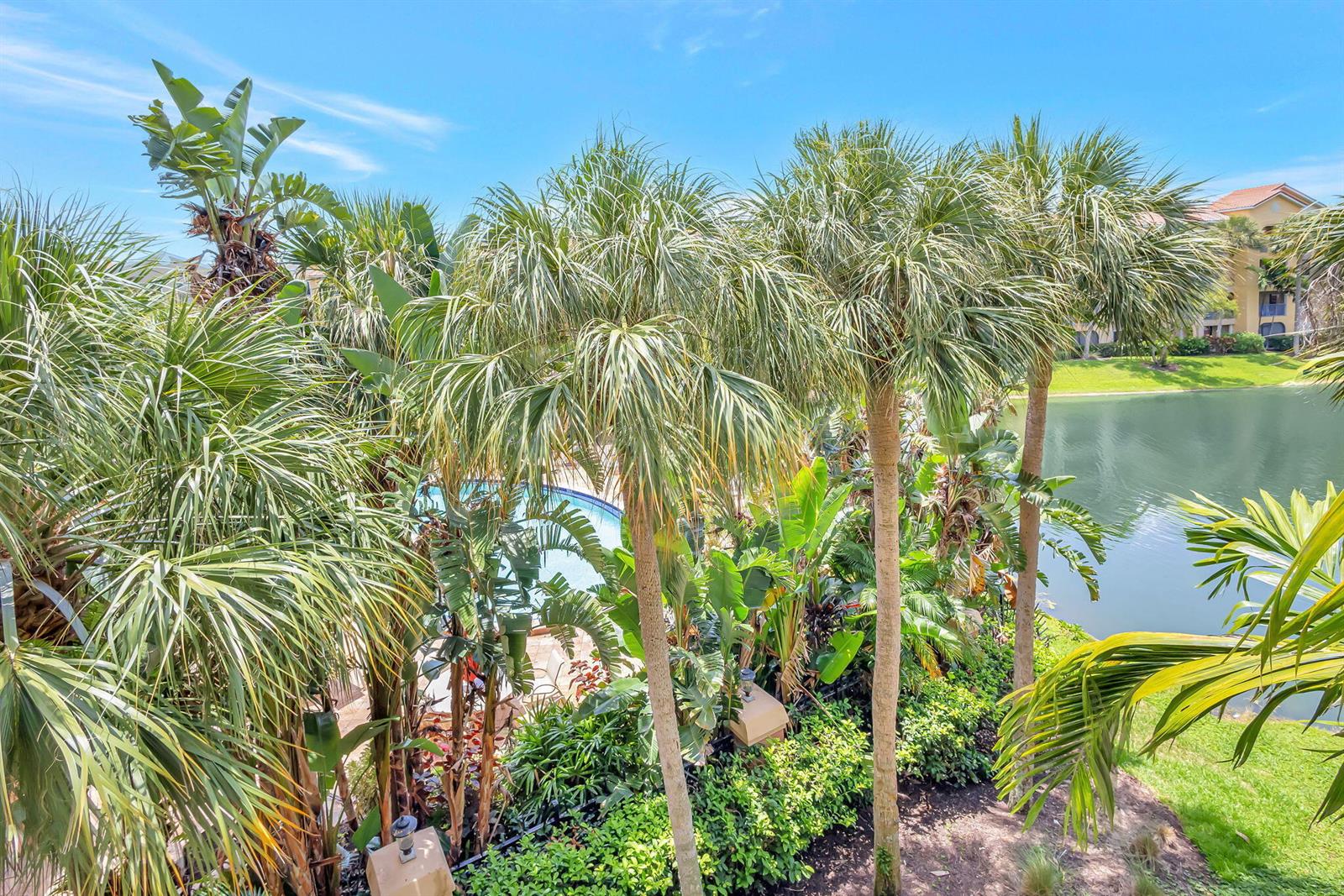 An elevated view of a swimming pool surrounded by lush palm trees and a lake — 800 Uno Lago Drive # 302, Juno Beach FL 33408, JUNO BEACH, FL