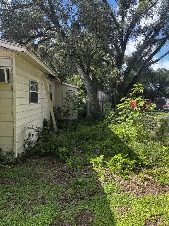 The exterior of a light-yellow house features overgrown vegetation and a large tree nearby — 7221 WESTINGHOUSE AVENUE, TAMPA, FL